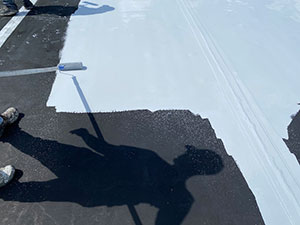 Roof Coating1