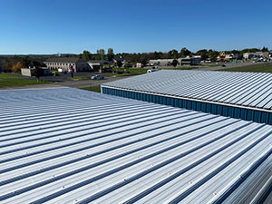 Roof Coating2